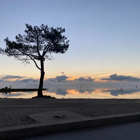 Les Grands Pins, Entre Foret, Et Ocean アパート