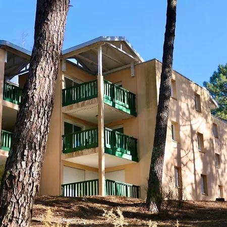 Les Grands Pins, Entre Foret, Et Ocean *