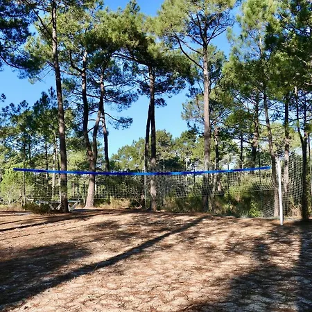 Lägenhet Les Grands Pins, Entre Foret, Et Ocean *