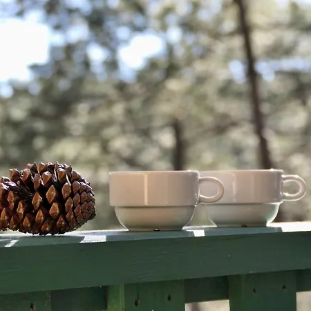 Les Grands Pins, Entre Foret, Et Ocean * Carcans