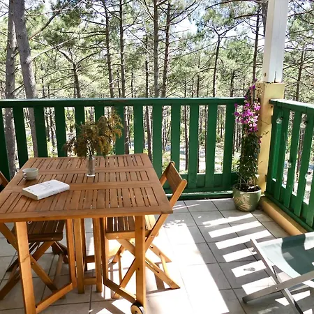 Les Grands Pins, Entre Foret, Et Ocean アパート *