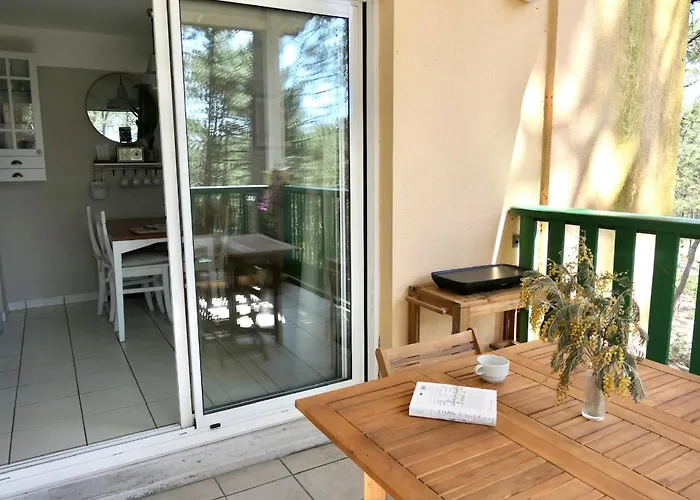 Les Grands Pins, Entre Foret, Et Ocean *